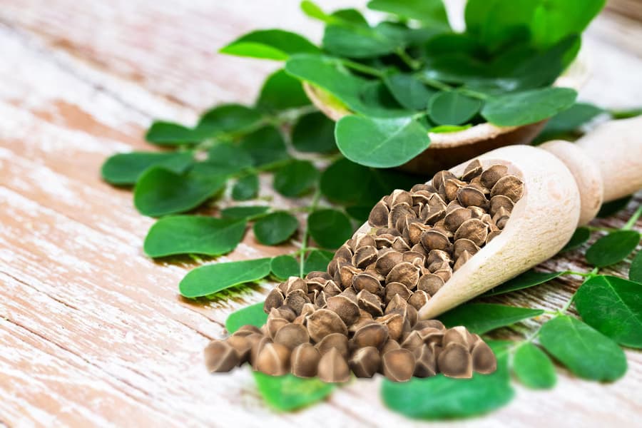 Moringa Oil
